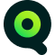 website image